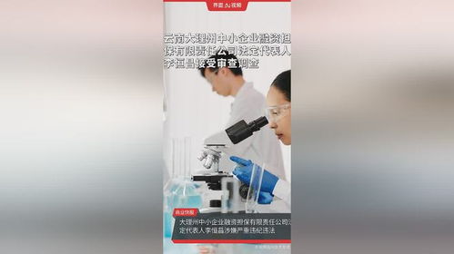 云南大理州中小企業(yè)融資擔(dān)保公司高管被查，中小企業(yè)融資生態(tài)引關(guān)注